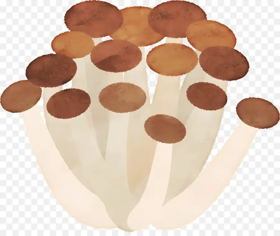 Champignons，Légume PNG