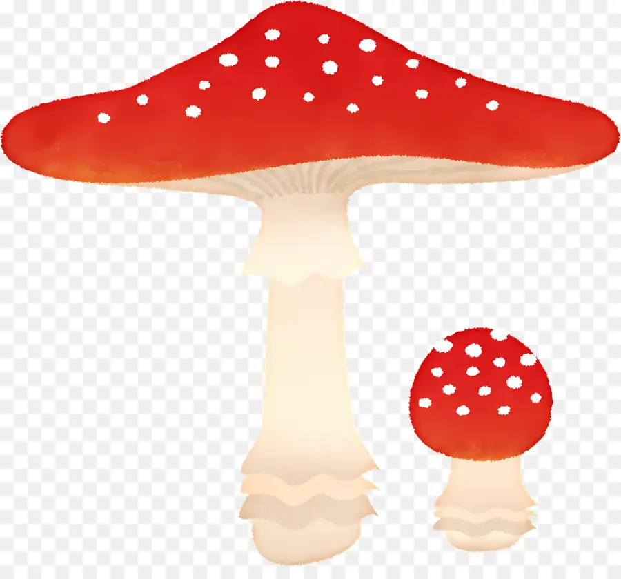 Champignons，Champignon PNG