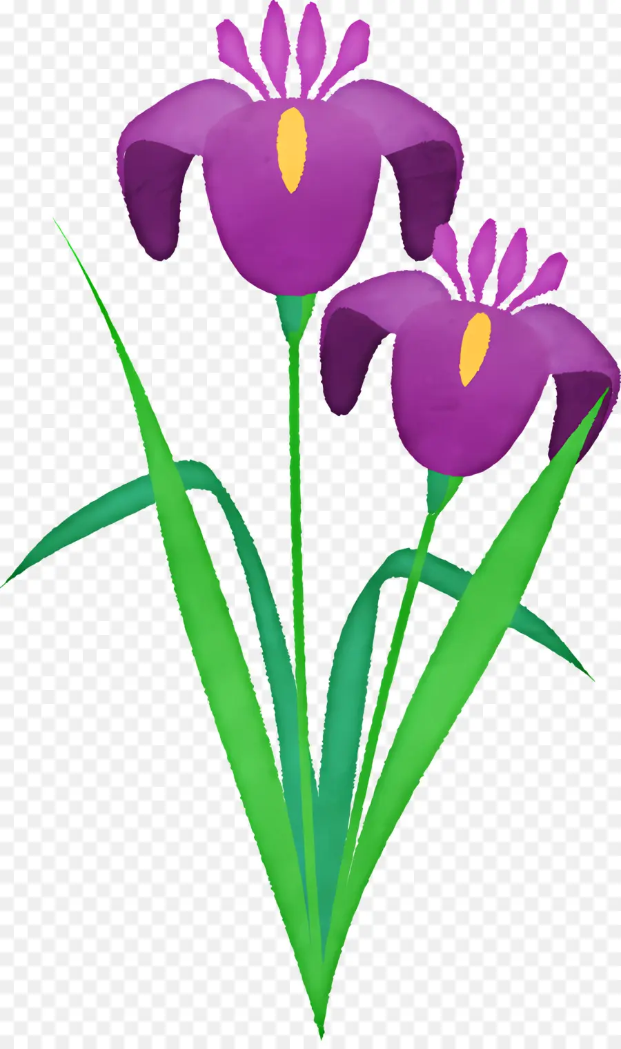 Iris Fleur，Fleur Pourpre PNG