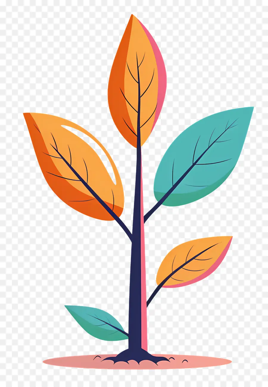 Semis D'arbre，Usine PNG