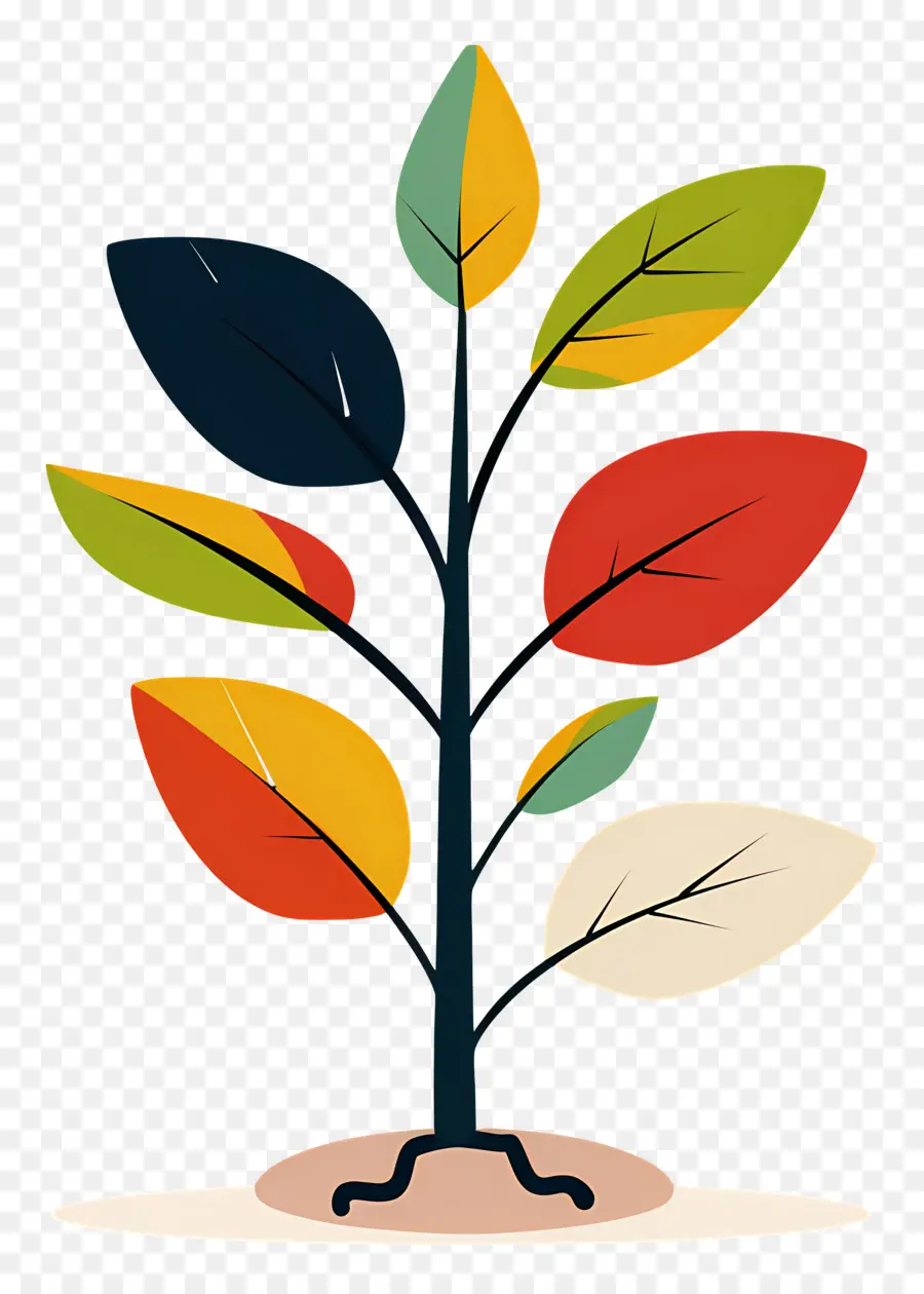 Plante Colorée，Feuilles PNG