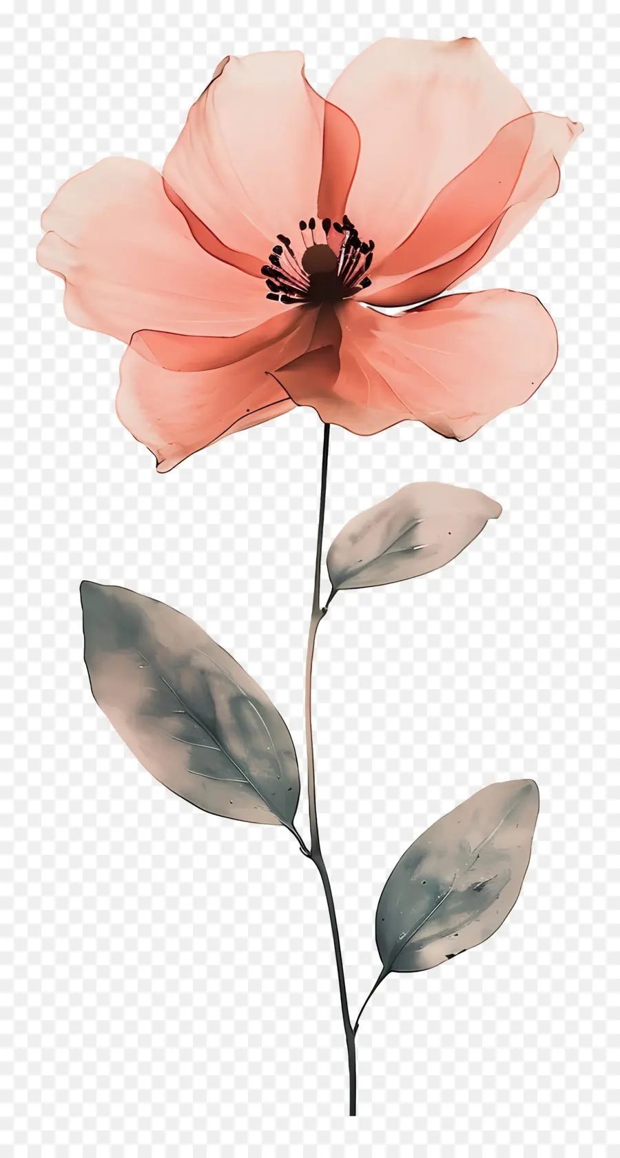 Fleur，Fleur Rose PNG