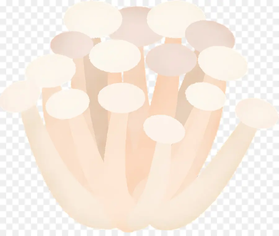 Champignons，Grappe PNG