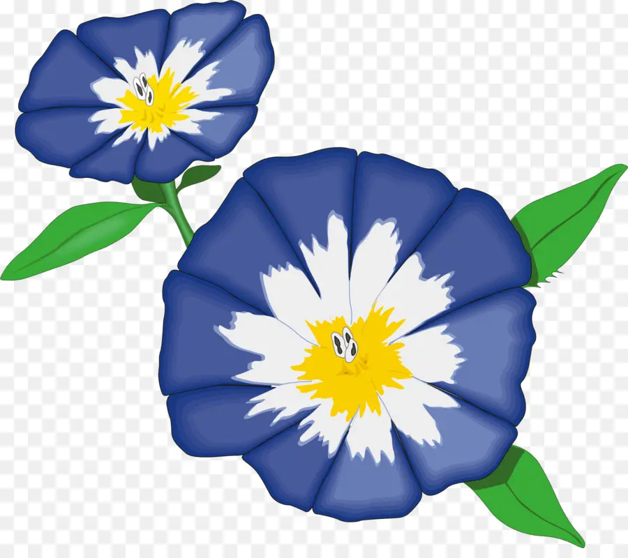 Ne M'oubliez Pas，Fleur Bleue PNG