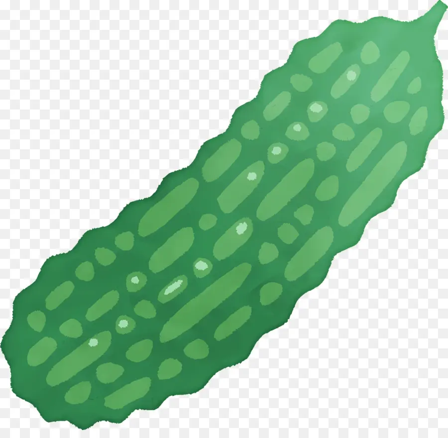 Melon Amer，Melon Amer Vert PNG