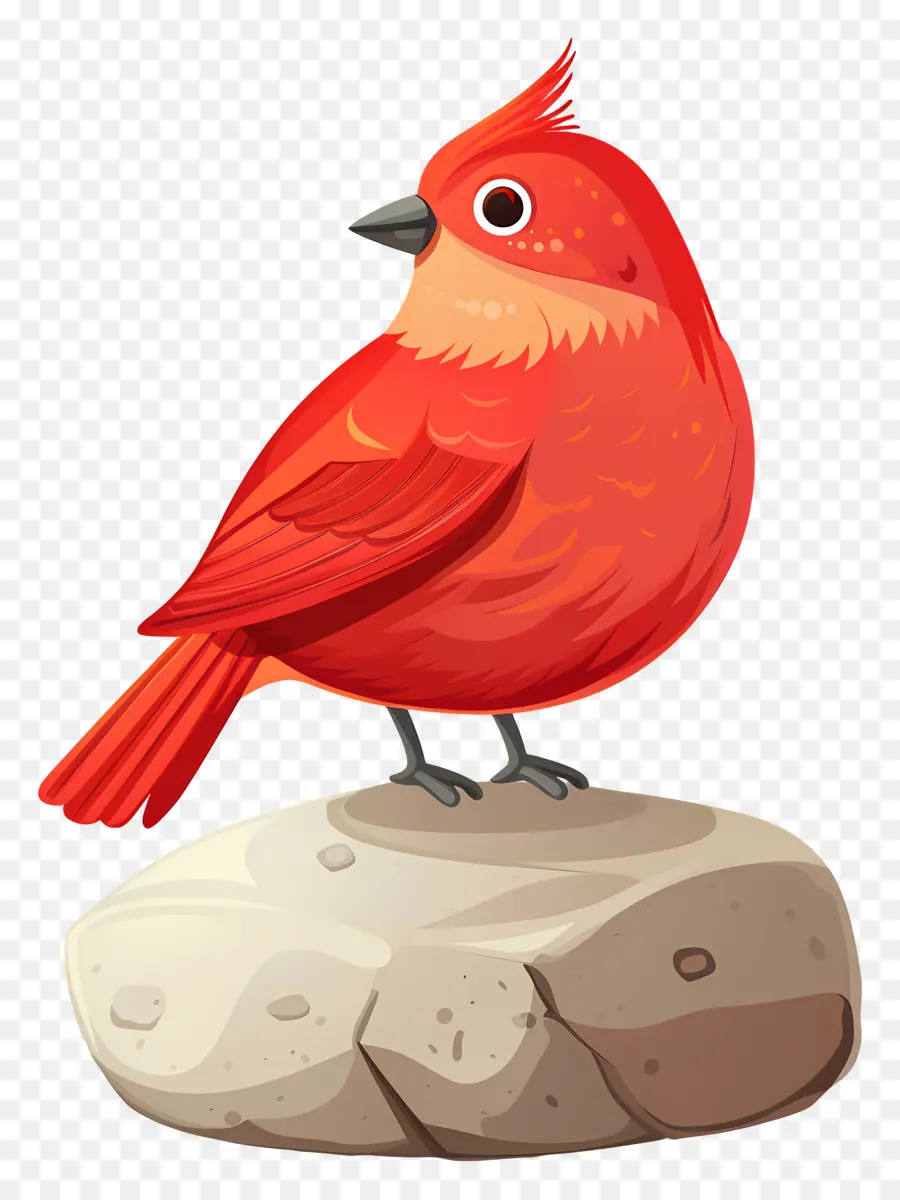 Oiseau Rouge，Rock PNG