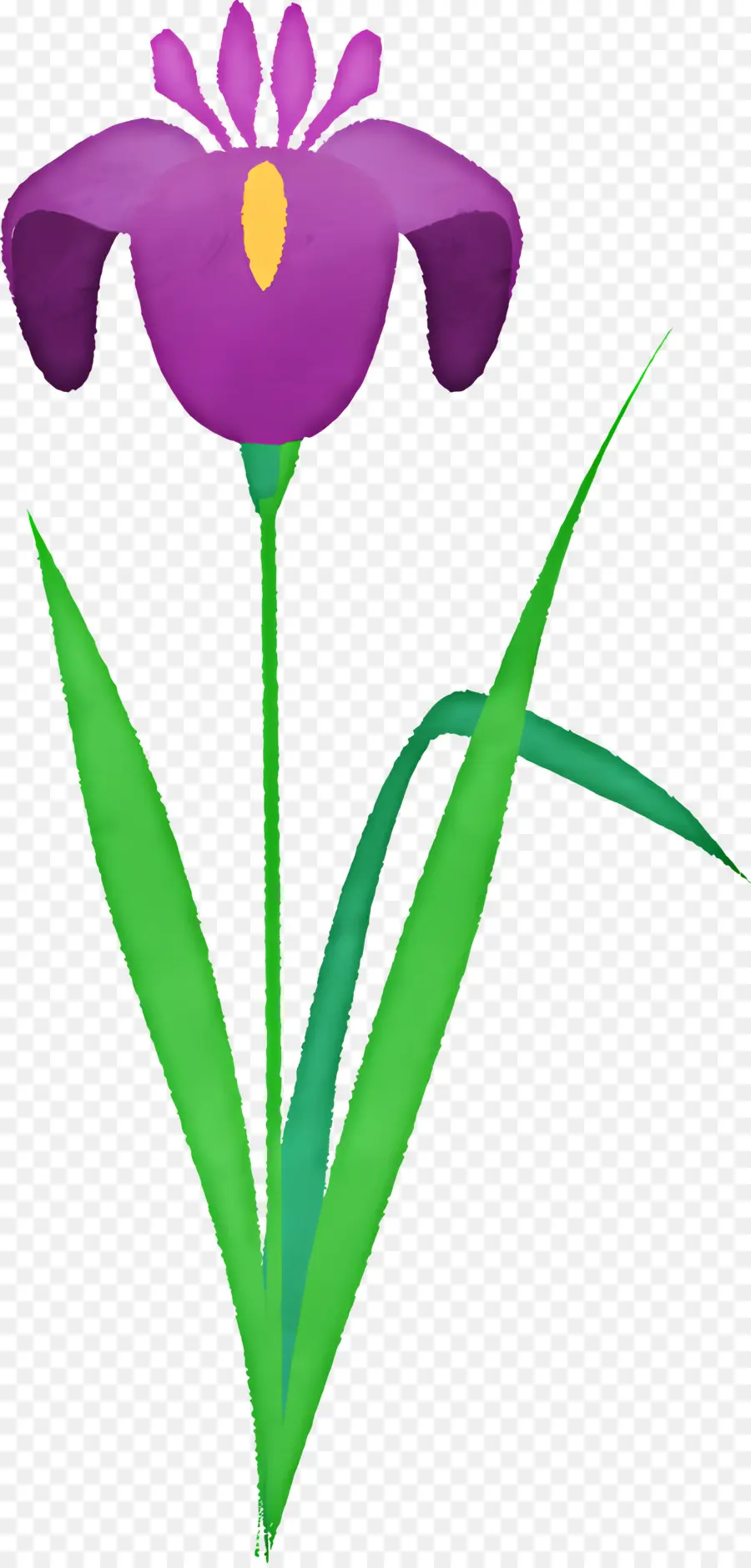 Iris Fleur，Iris Pourpre PNG