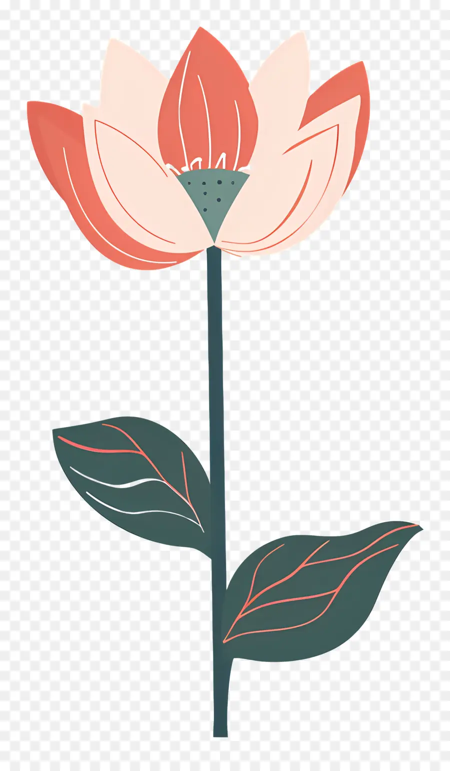 Lotus，Fleur Rose PNG