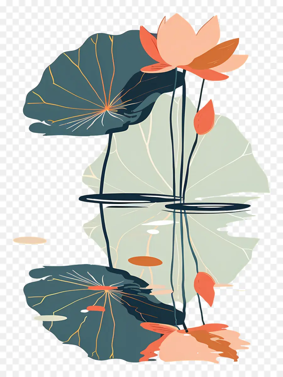 Fleur De Lotus，L'étang PNG