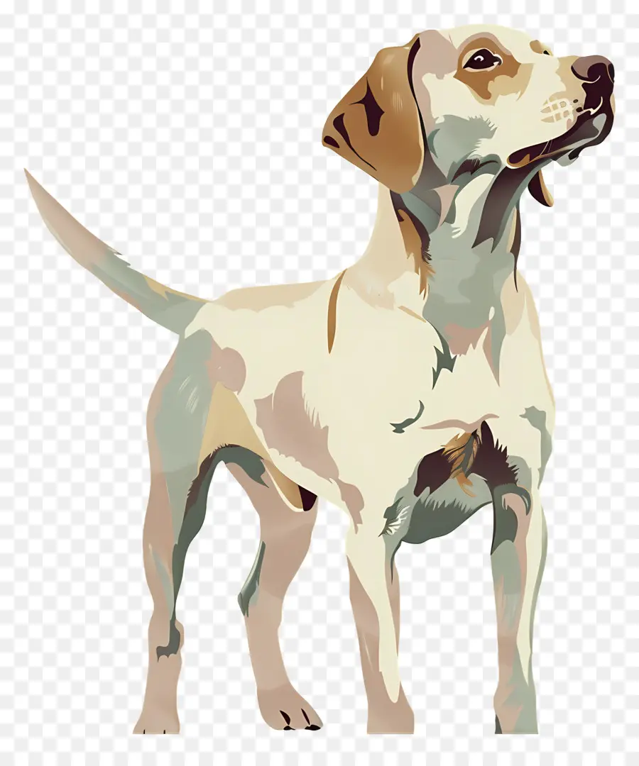 Chien，Animal De Compagnie PNG