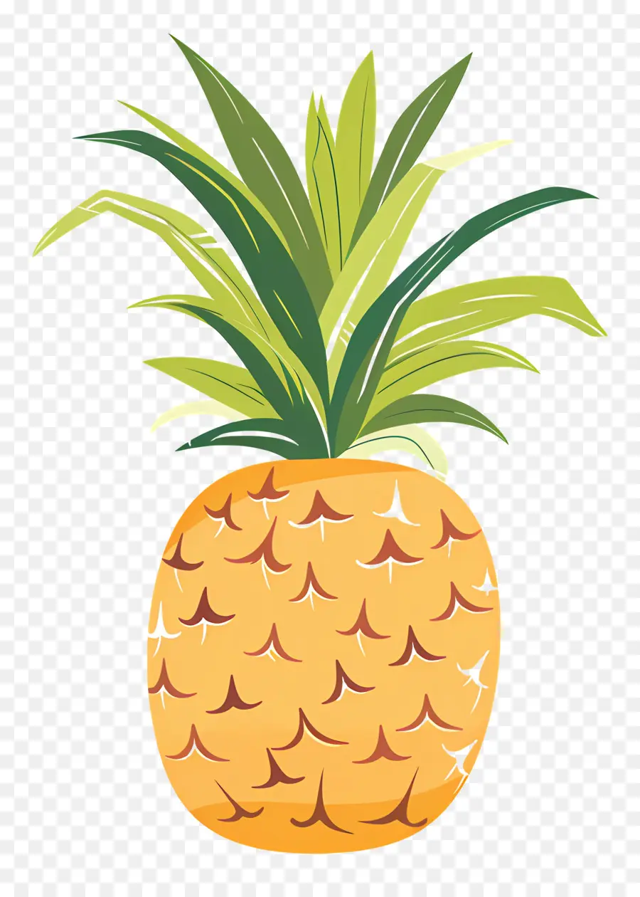 L'ananas，Mûres PNG