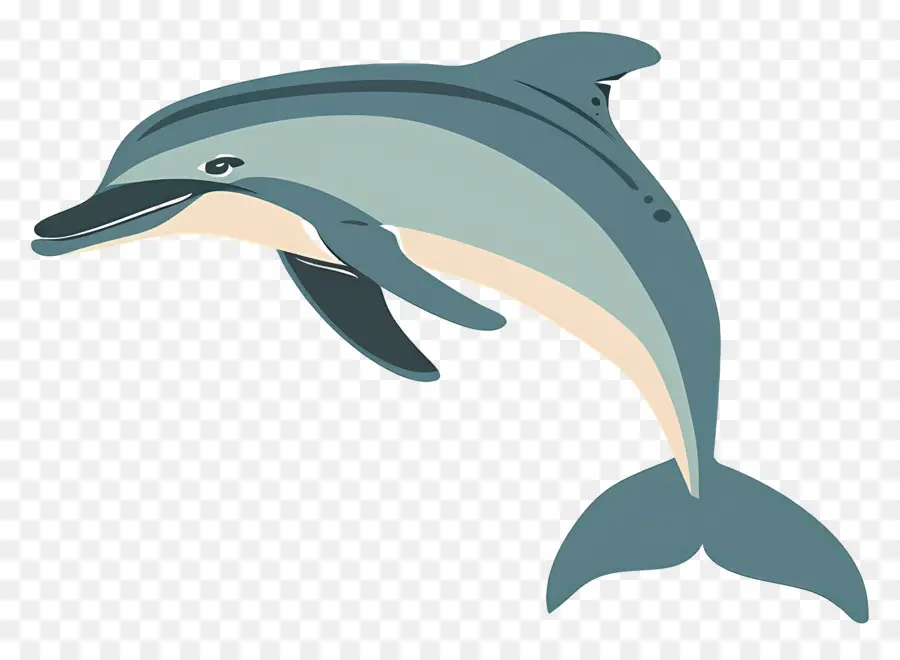 Dauphin De Dessin Animé，Dauphin Bleu PNG