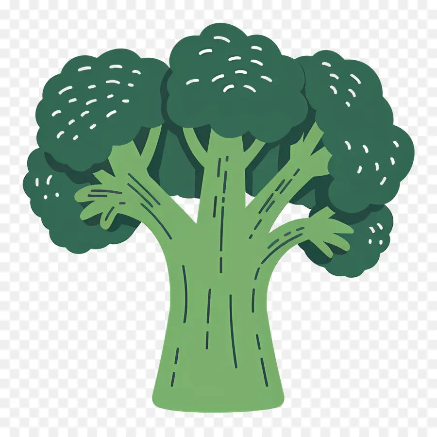 Brocoli，Arbre PNG