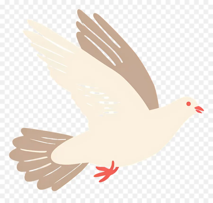 Où，Pigeon PNG