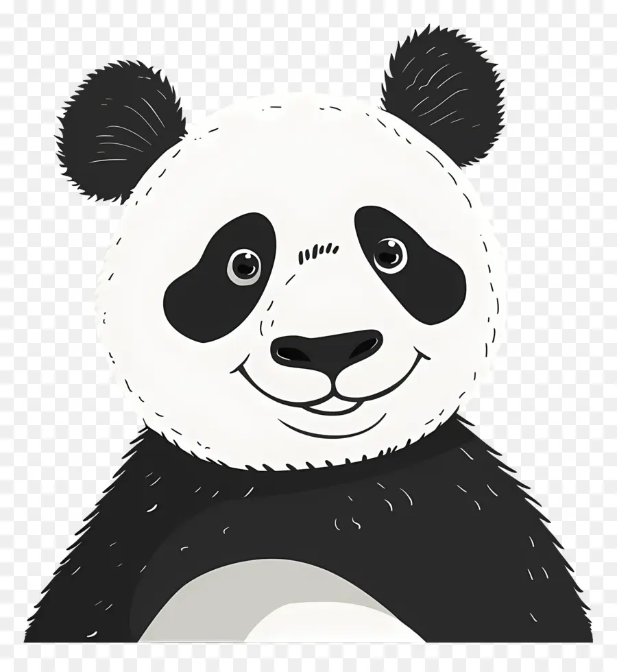 Panda，Ours De Panda PNG