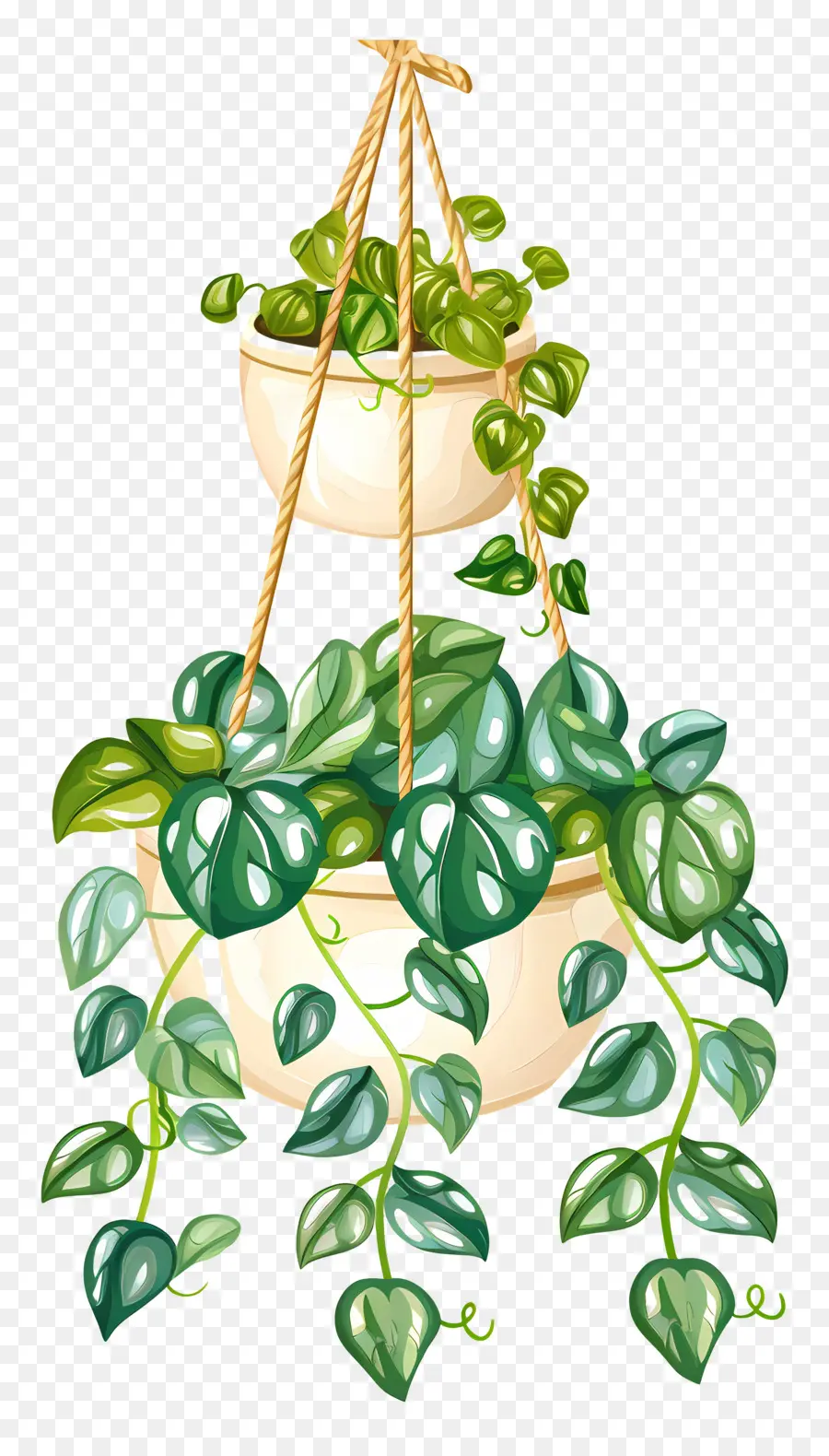 Les Plantes Suspendues，Plante En Pot Suspendue PNG