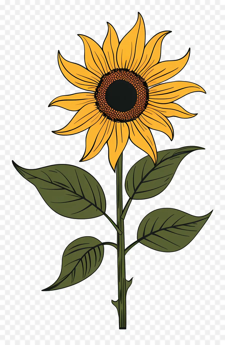 Tournesol，Jaune PNG