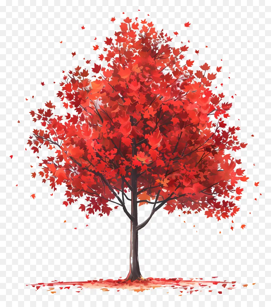 Érable，Arbre D'automne PNG