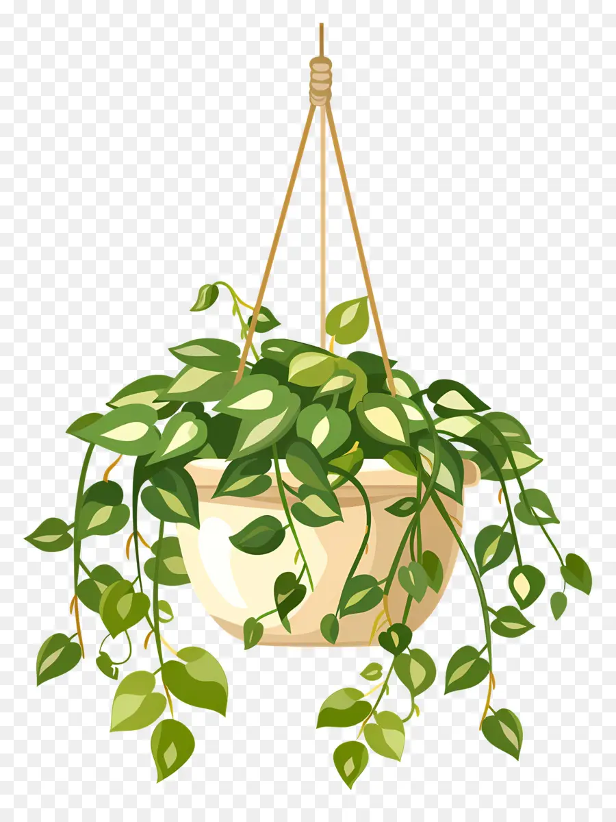 Les Plantes Suspendues，Fougère En Pot PNG