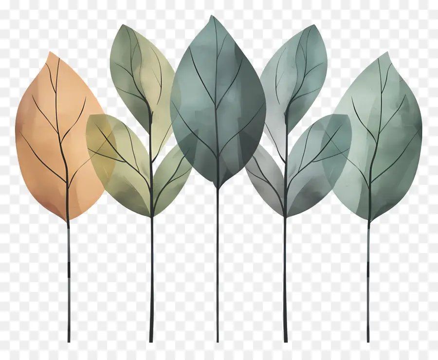 Feuilles，Feuilles Colorées PNG