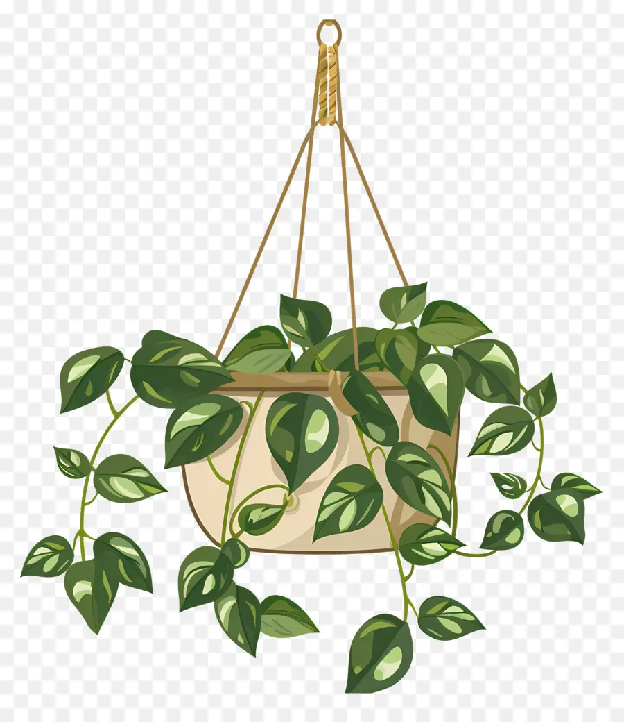 Les Plantes Suspendues，Plante En Pot Suspendue PNG