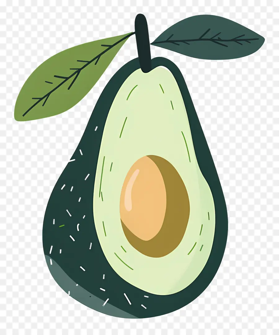 L'avocat，Fruits PNG