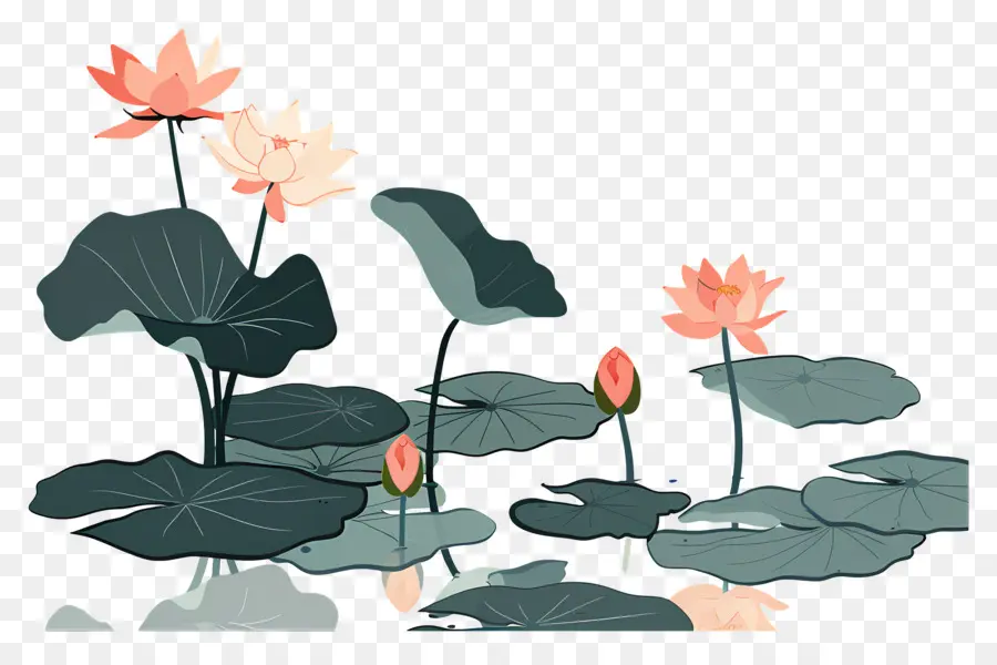 Étang De Lotus，Eau PNG