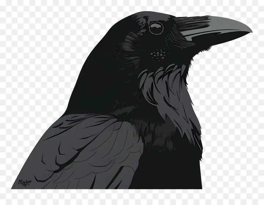 Crow，Raven PNG