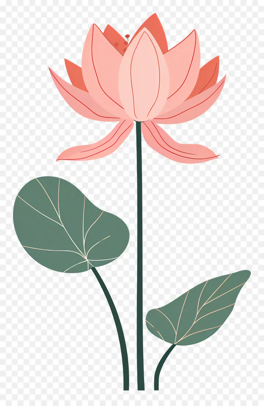 Lotus，Fleur De Lotus PNG