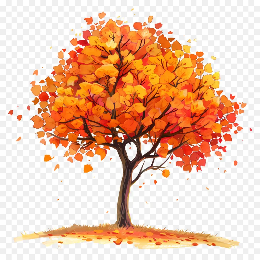 Arbre D'érable，Automne, Arbre PNG