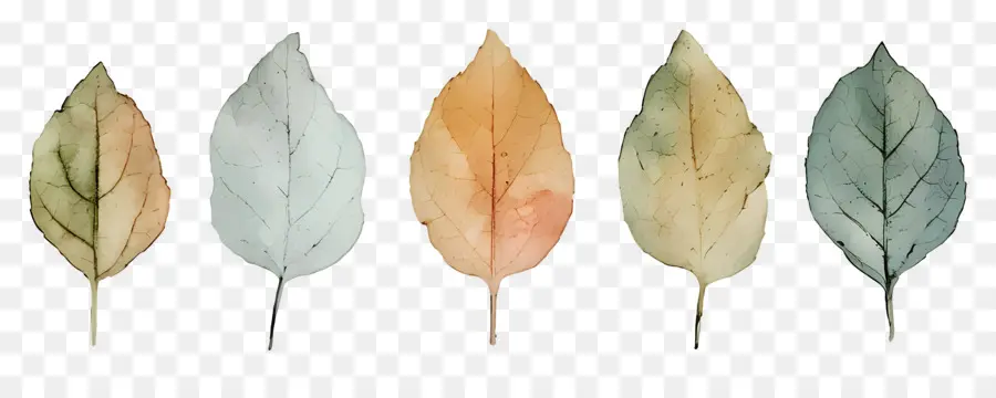 Feuilles，Feuilles Colorées PNG