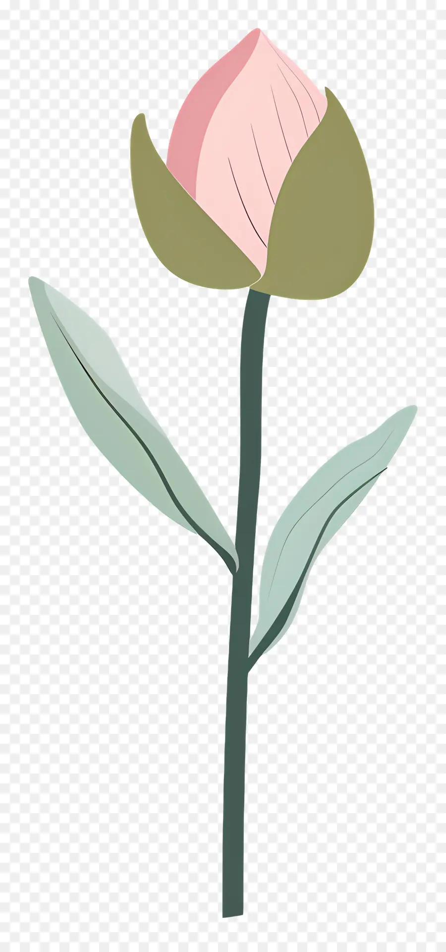 Bourgeon De Lotus，Fleur Rose PNG