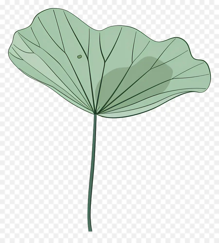 Feuille De Lotus，Fleur De Lotus PNG