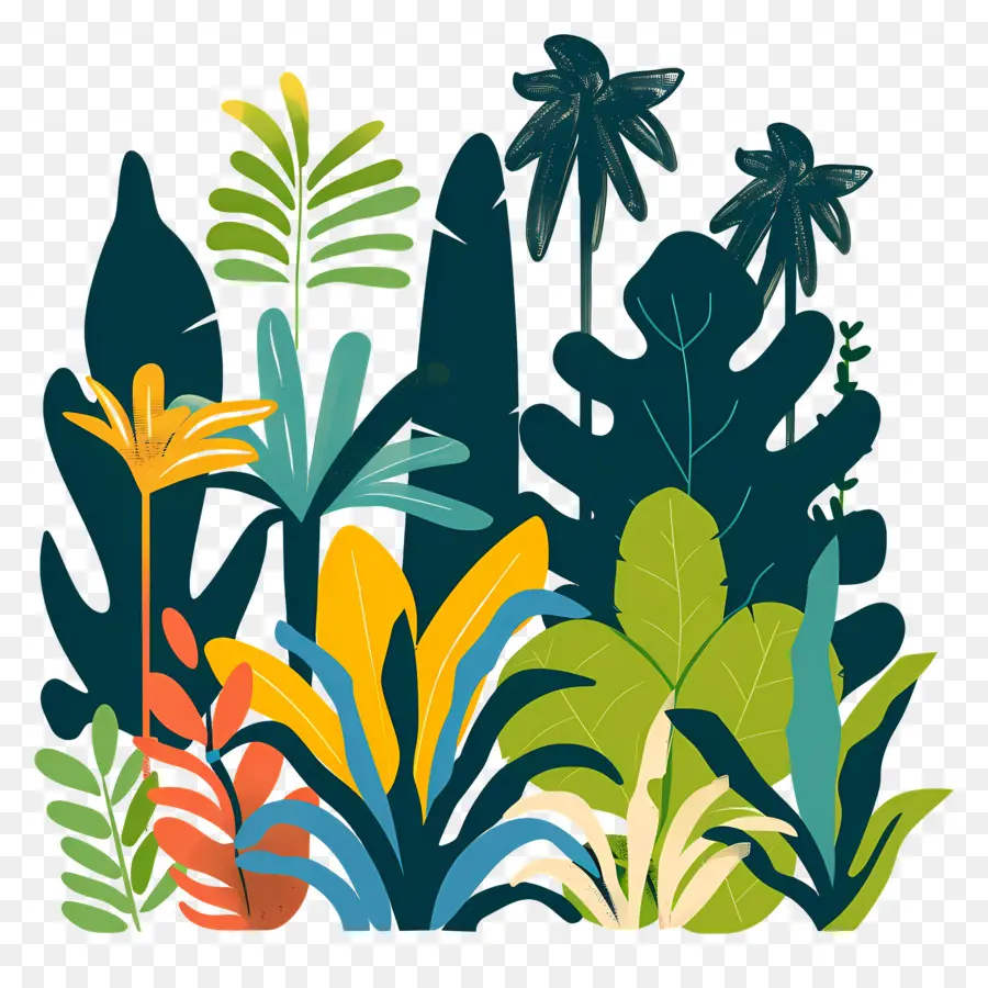 Jungle，Plantes Tropicales PNG