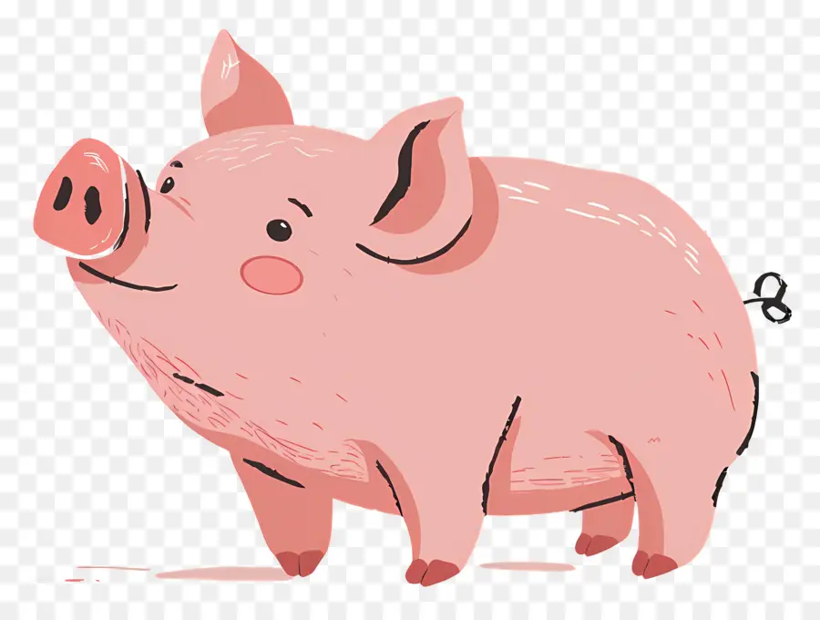 Cochon，Cochon Dessin PNG