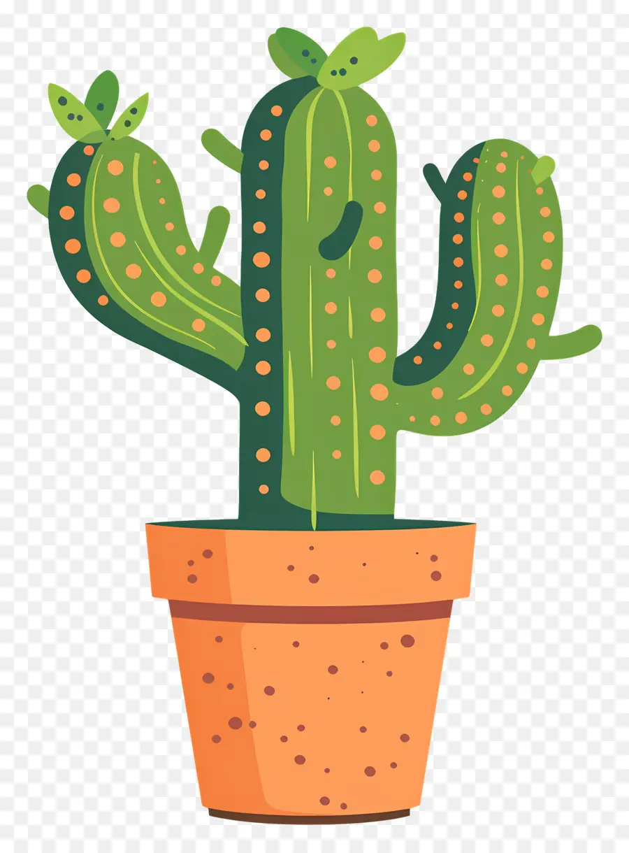 Cactus，Cactus PNG