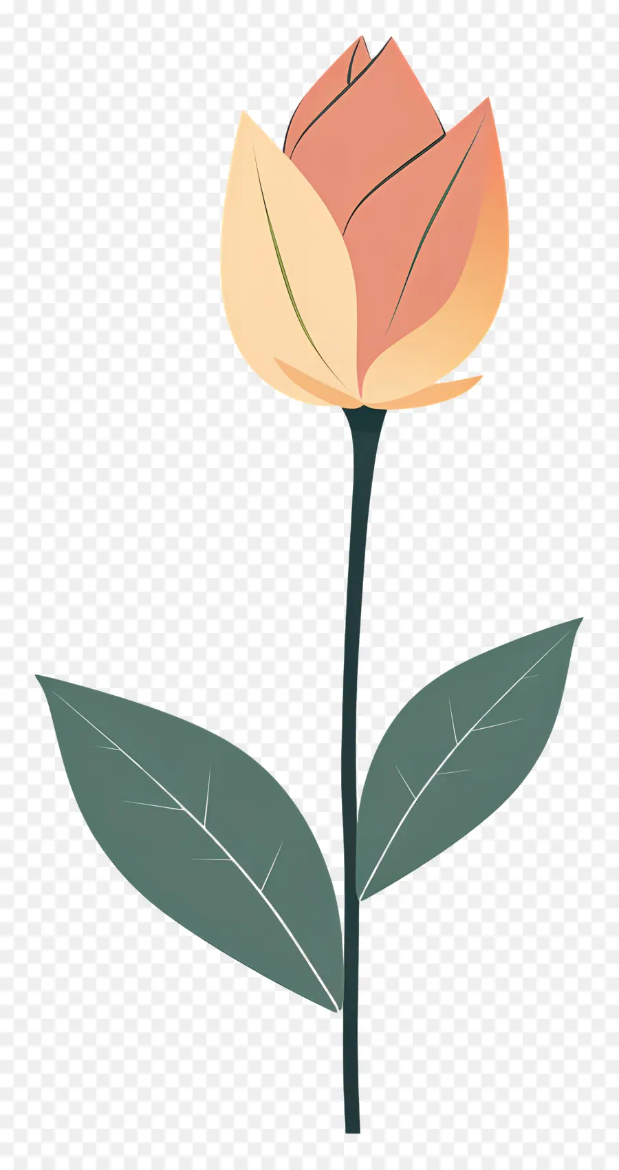 Bourgeon De Lotus，La Lumière Rose De Fleur PNG