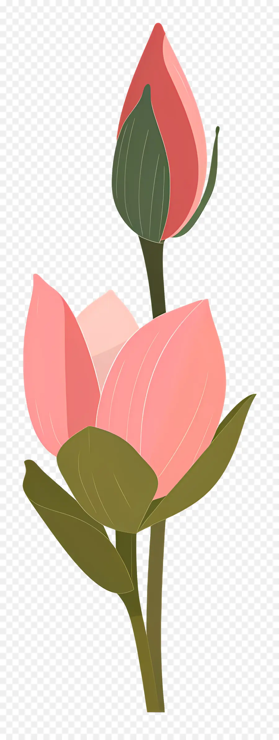 Bourgeon De Lotus，Fleur PNG