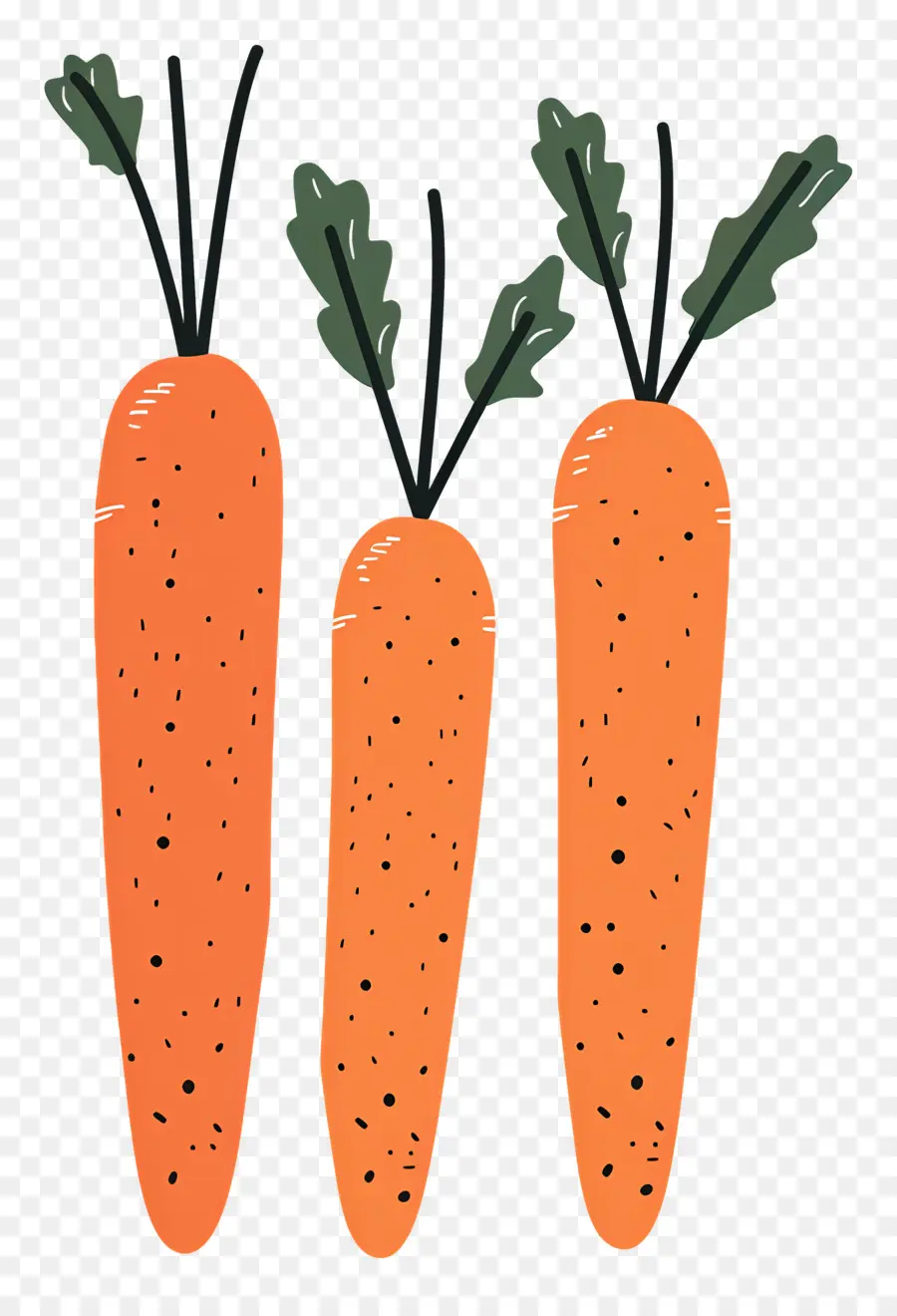 Carottes，Orange PNG