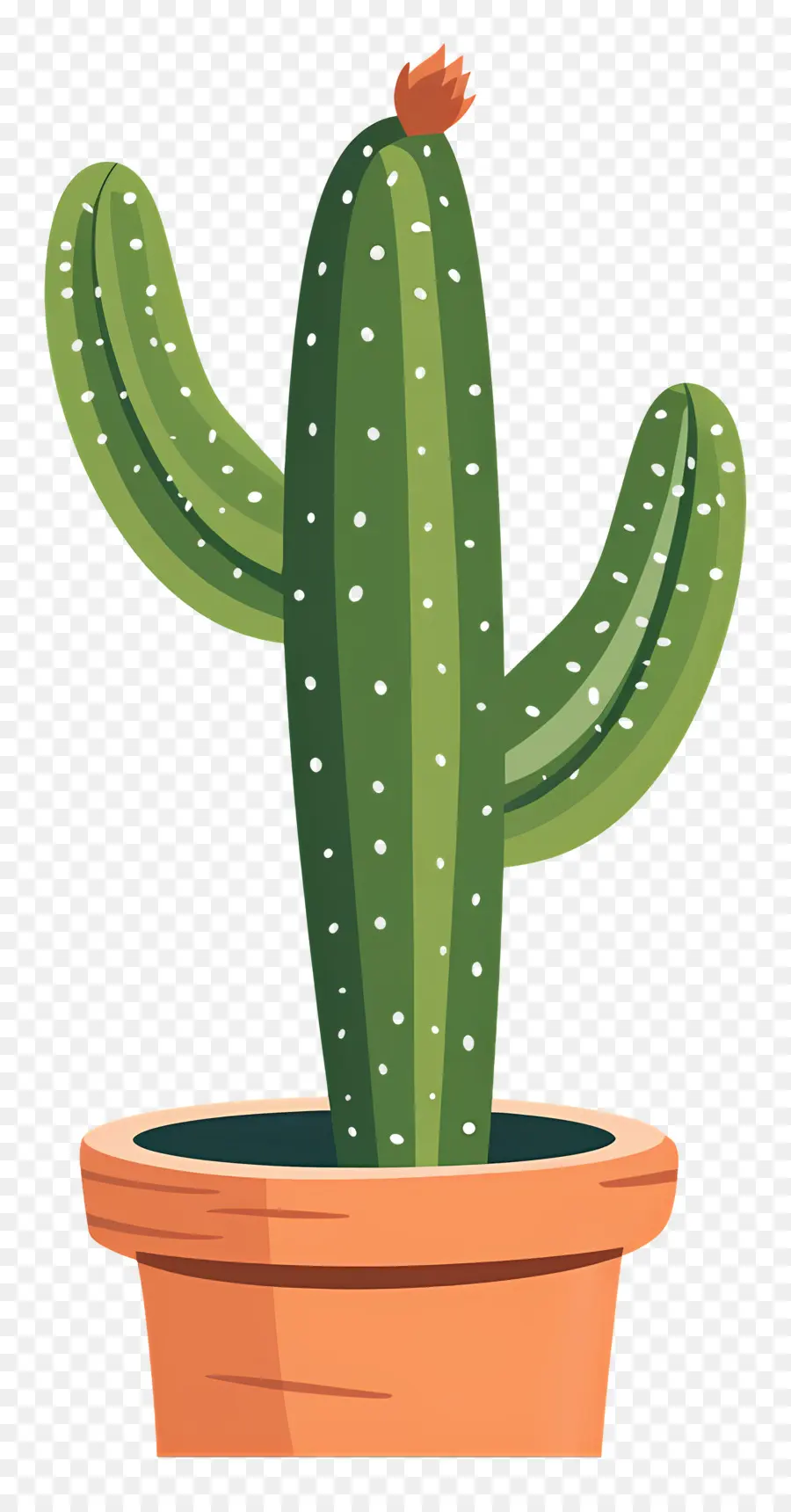 Cactus，Pot En Argile PNG