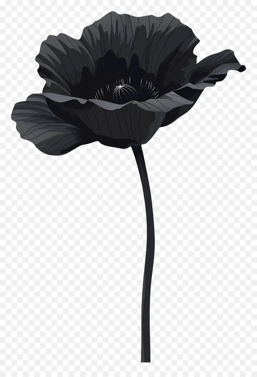 Fleur De Tige，Fleur De Pavot Noire PNG