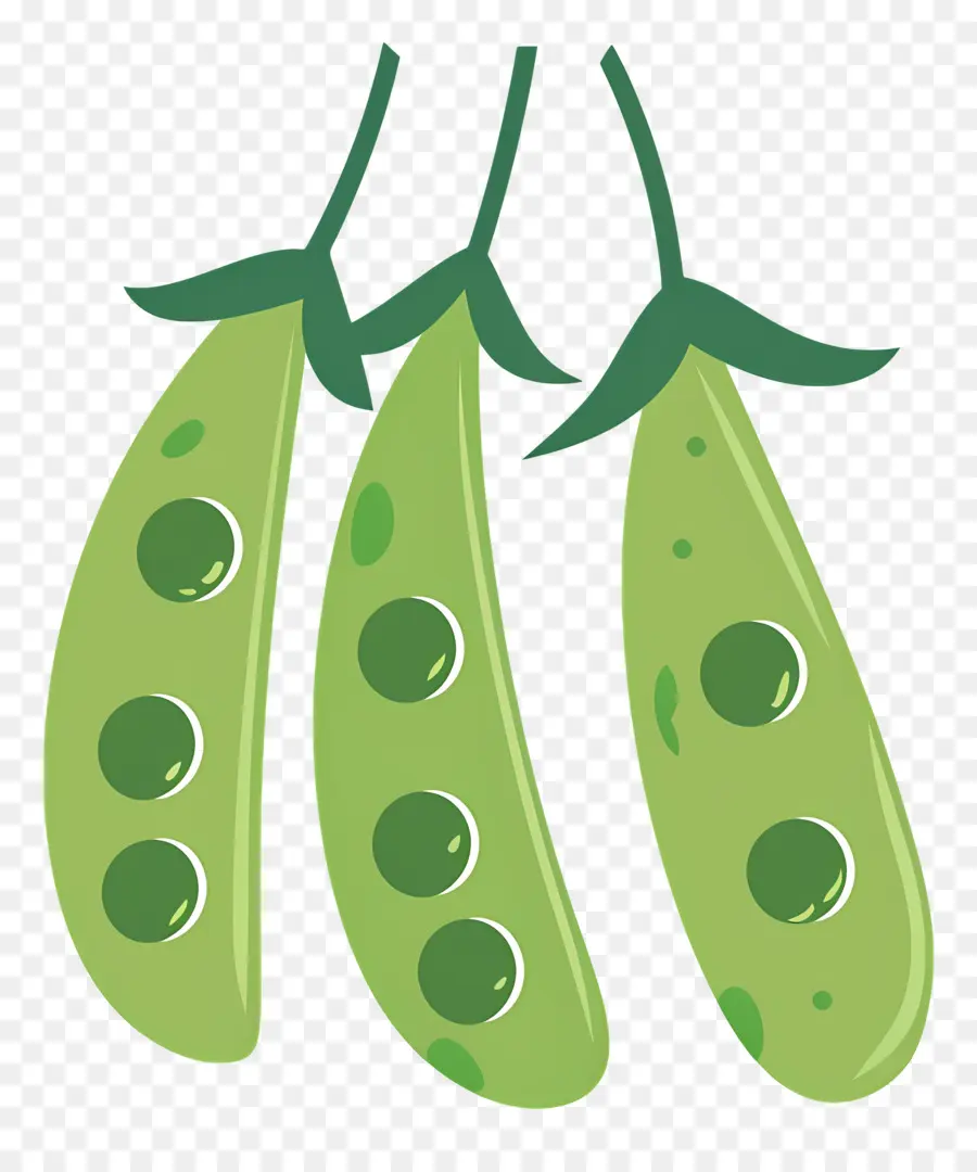 Pois，Les Légumes Verts PNG