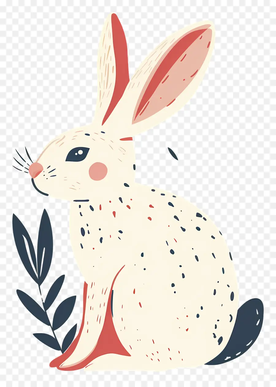 Lapin，Blanc PNG