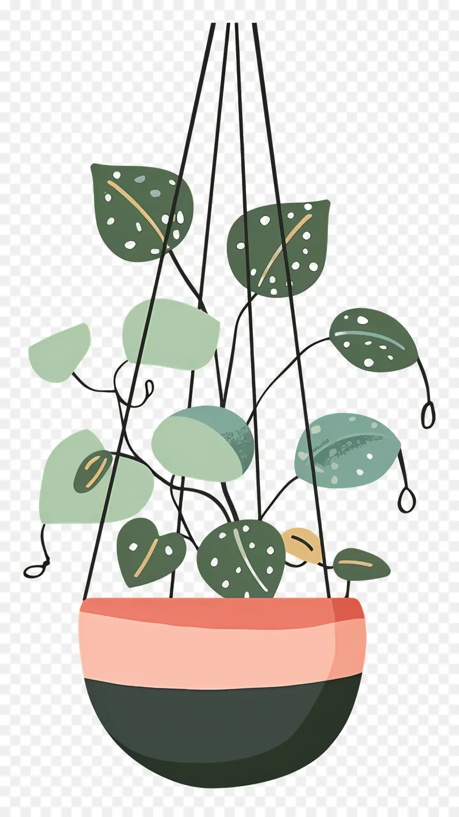 Plantes Suspendues，Plante Suspendue PNG