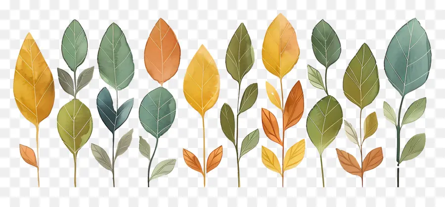 Feuilles，Plantes à Feuillage PNG