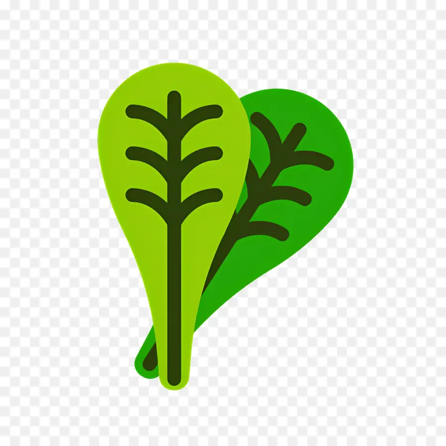 Les épinards，Plante Verte PNG