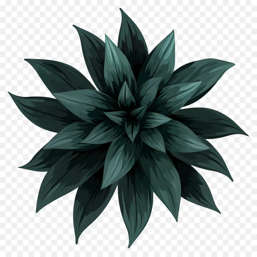 Vue De Dessus De La Plante à Fleurs，Plante Verte PNG