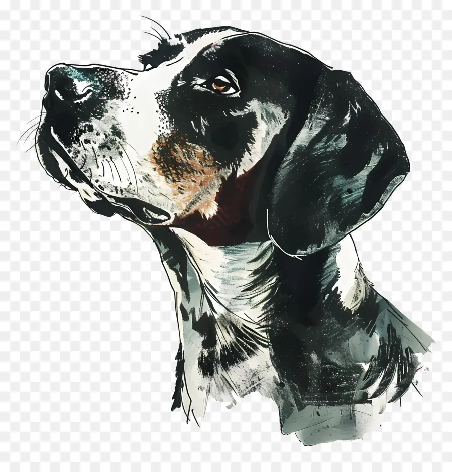 Chien，Noir Et Blanc, Peinture PNG