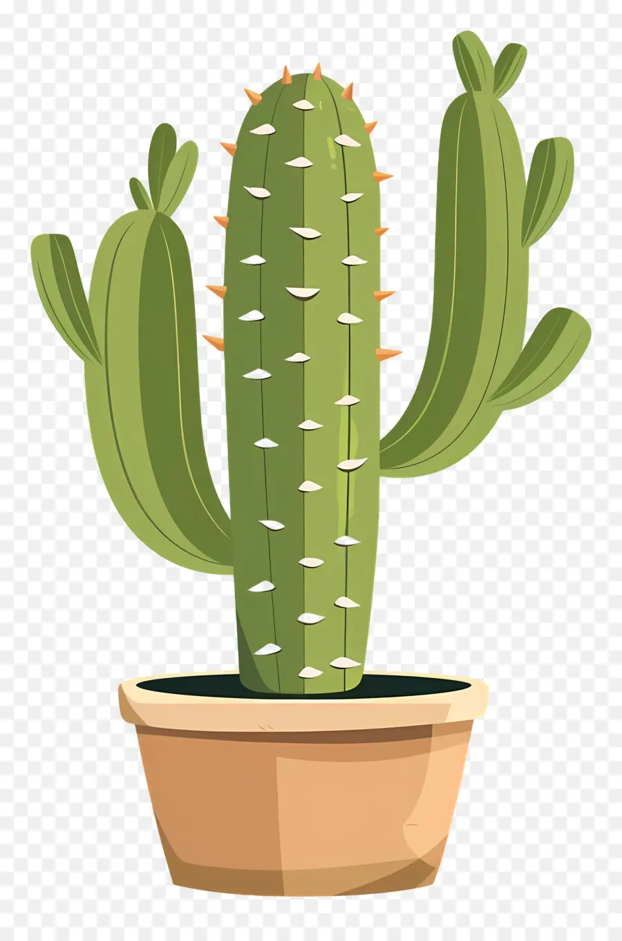 Cactus，Succulent PNG