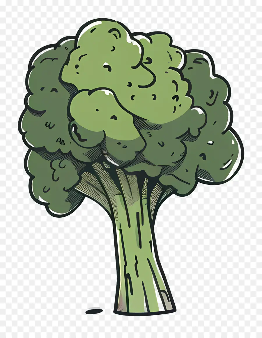 Brocoli，En Bonne Santé PNG